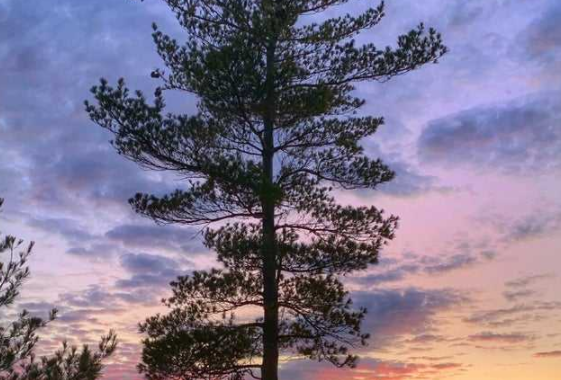 重慶智能家居加盟：相比傳統(tǒng)家居，智能家居的優(yōu)勢是什么？