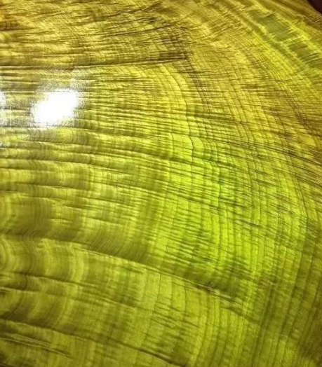 金絲楠烏木：如何區(qū)別金絲楠、黃心楠、黃金樟