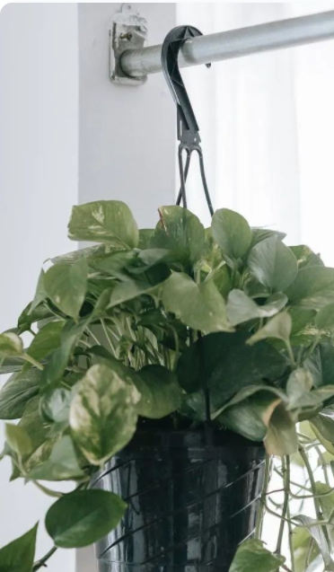 室內(nèi)設(shè)計專業(yè)培訓(xùn);消費者對環(huán)保健康室內(nèi)設(shè)計、家具擺設(shè)和裝飾的需求，已成一股推動力