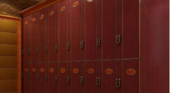 浴室全塑更衣柜：浴室更衣柜有什么材質(zhì)？浴室更衣柜電子感應(yīng)鎖好不好？